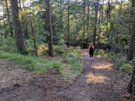 Loblolly Pines Adventure Cabin 3 - King Eureka Springs Ngoại thất bức ảnh
